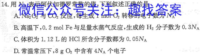 2023年安徽省教育教学联盟大联考·中考密卷（一）化学