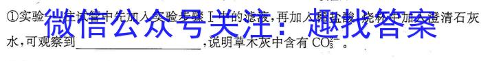 ［湖南］2023年湖南省高一年级阶段性诊断考试（23-355A）化学