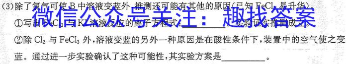 山西省2024届八年级下学期阶段评估（一）化学