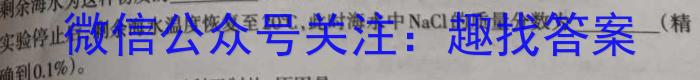［二轮］2023年名校之约·中考导向总复习模拟样卷（二）化学