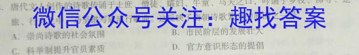 湖南省益阳市2022年高一年级下学期期末质量检测历史