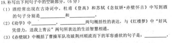 西南大学附属中学高2025届高一下阶段性检测(一)2023.03数学答案试题及答案