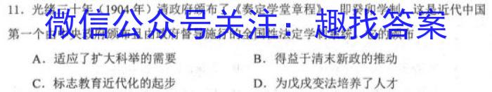 安徽省无为市2023届九年级第二学期学情调研历史