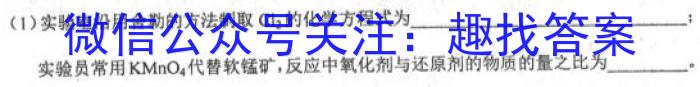 湖南新高考教学教研联盟（长郡十八校联盟）2023届高三年级联考联评化学