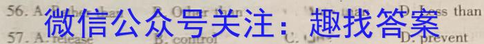 2023年全国新教材地区高三考试3月百万联考(911C)英语试题