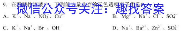 2023届九师联盟高三年级3月联考（新高考）化学