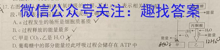 山东省2023年九年级阶段性教学质量检测(2023.3)生物试卷答案