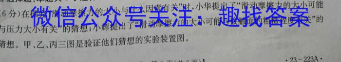 2023年临沂市2022级普通高中学科素养水平监测试卷(2023.2)物理`