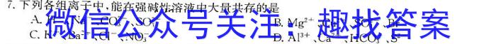 江淮名卷·2023年中考模拟信息卷（一）化学