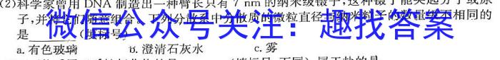 河南省2022-2023学年度八年级第二学期阶段性测试卷化学