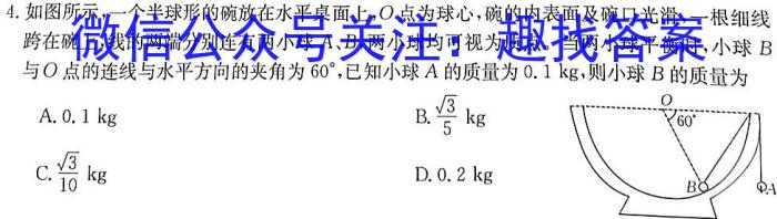 九师联盟 2022-2023学年高三2月质量检测(新高考).物理