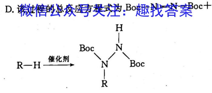 衡水金卷2022-2023学年度上学期高二五调考试(新教材·月考卷)化学