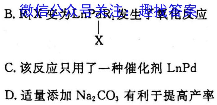 2023届广东省高三2月联考(23-319C)化学
