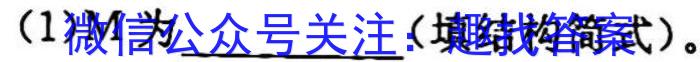 江苏省宿迁市泗阳县2023年初中学业水平第一次模拟测试化学