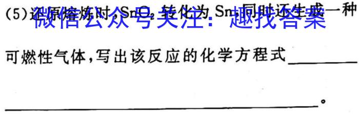 江西省2023届九年级江西中考总复习模拟卷（一）化学