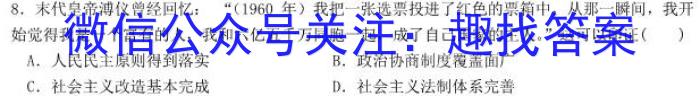 师大名师金卷2023年陕西省初中学业水平考试（二）历史