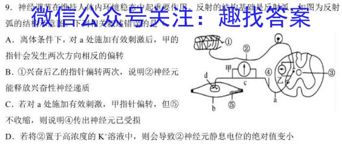 河南省名校联盟2022-2023学年高三下学期2月大联考生物试卷答案