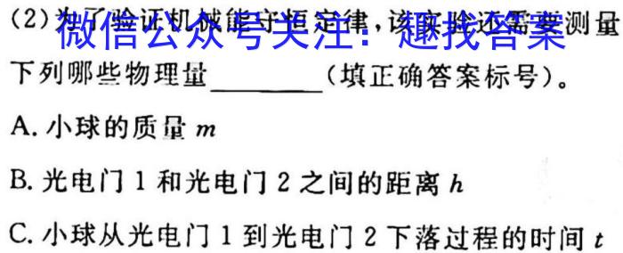 [南充二诊]四川省南充市高2023届高考适应性考试(二诊)q物理