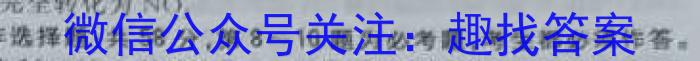 山西省2023年中考总复习预测模拟卷（五）化学