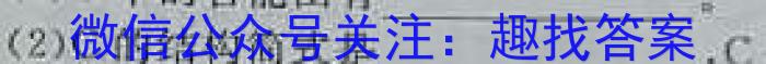 百校联赢·2023安徽名校大联考一化学