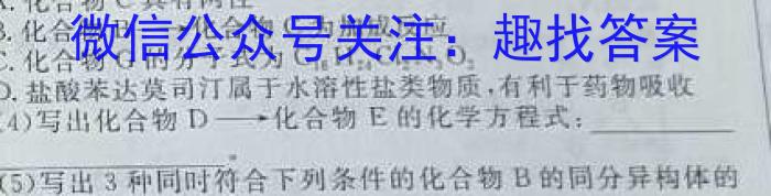 2023年湖南省高三年级高考冲刺试卷（二）化学