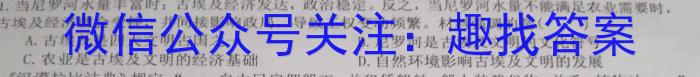 江西省2024届八年级上学期第四阶段练习历史