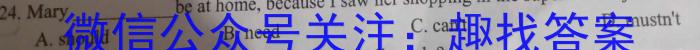 安徽省2022-2023学年九年级下学期双减作业调研考试英语试题