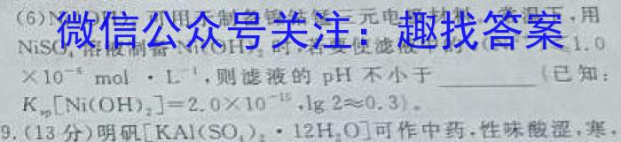 山东省2023届九年级第二学期片区九校联合检测化学