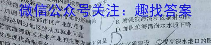 菁师联盟2023届3月质量检测考试q地理