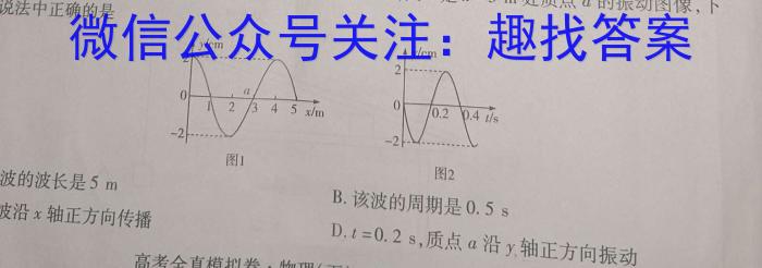 佩佩教育·2023年普通高校统一招生考试 湖南四大名校名师团队模拟冲刺卷(3)物理.