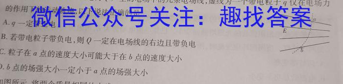 皖智教育安徽第一卷·2023年安徽中考第一轮复习试卷(十)物理`