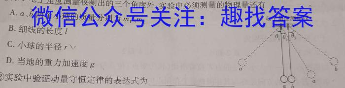 衡中同卷信息卷2023全国卷(二)物理.