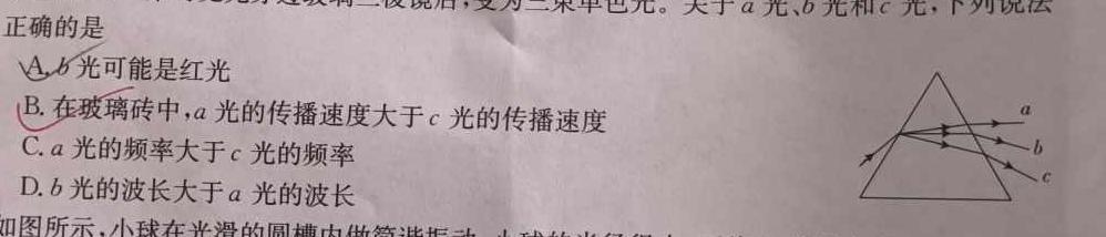 2023南平四校高三联考-物理