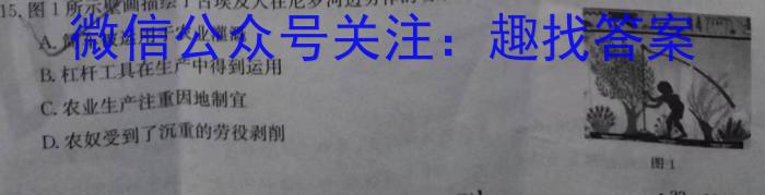 安徽省2024届八年级下学期教学评价一历史