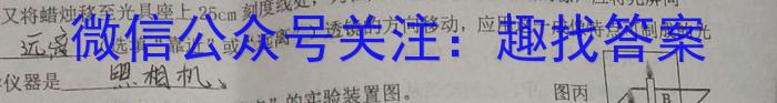[宝鸡二模]陕西省2023年宝鸡市高考模拟检测(二)2l物理