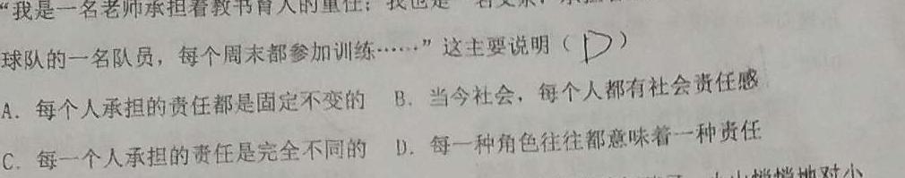 2023年普通高等学校招生全国统一考试名校联盟·模拟信息卷(八)8地理