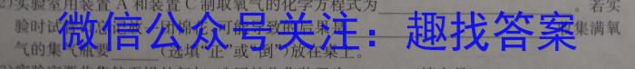 2023年河北省初中毕业班升学文化课模拟测评（六）化学