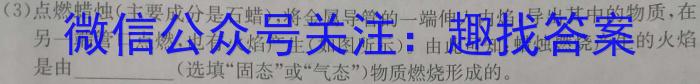 中考必刷卷·安徽省2023年安徽中考第一轮复习卷(八)8化学