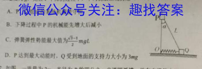 2023年普通高等学校招生全国统一考试·冲刺押题卷(二)2.物理