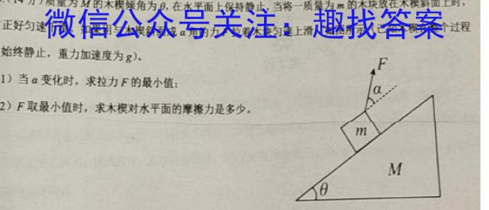 江西省2023年初中学业水平考试模拟卷（二）.物理
