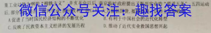 安徽省九年级2022-2023学年新课标闯关卷（十）AH历史