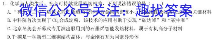 安徽省2023届第二学期九年级作业辅导练习化学