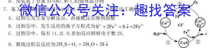 江淮名卷·2023年省城名校中考调研（一）化学