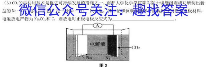 安徽省2023届九年级3月C20联考化学