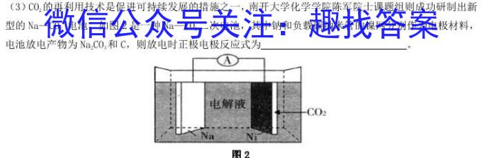 九师联盟 2022-2023学年高三2月质量检测(新高考)化学