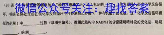 [泰安一模]山东省泰安市2022-2023学年高三一轮检测生物