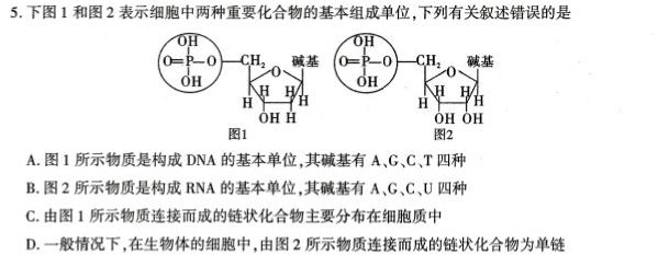 2023届九师联盟高三年级2月联考（X）生物