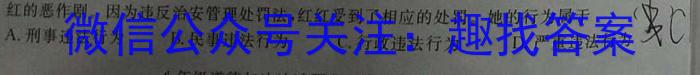 九师联盟 2024-2023学年高三2月质量检测XGq地理