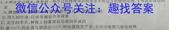 2023年河南省初中学业水平考试全真模拟(一)物理.