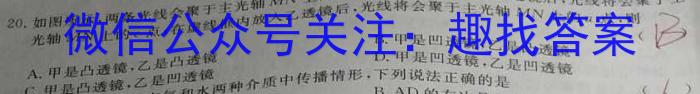˳һģ20233xԾ